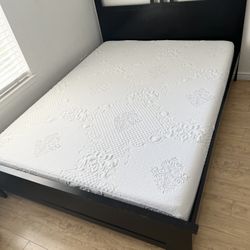 Mattress & Bed Frame