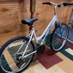 Pacific evolution 26 inch women's mountain bike sale