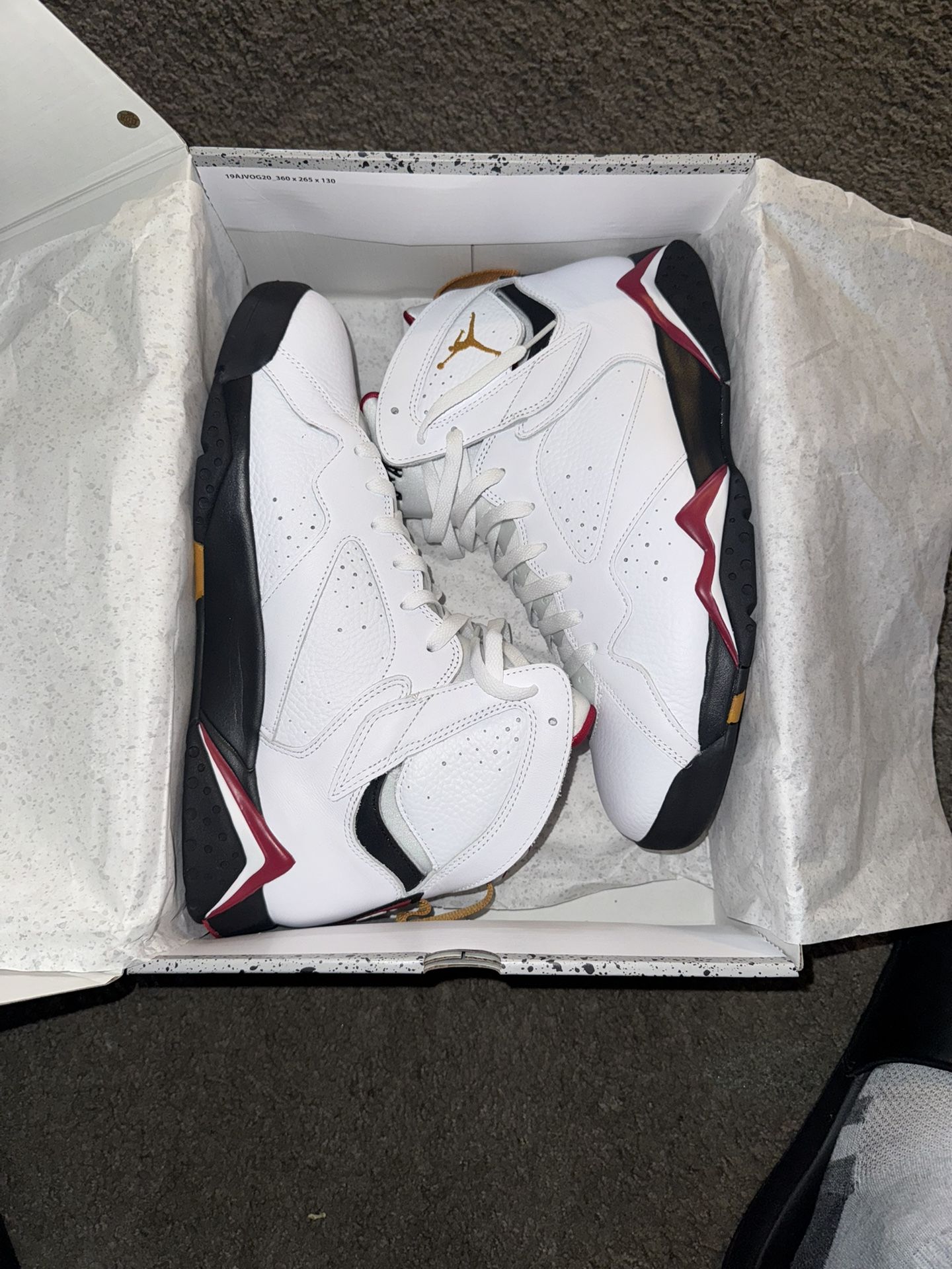 Jordan 7s
