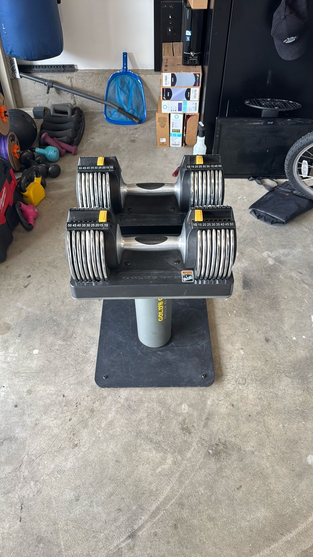 DUMB BELLS
