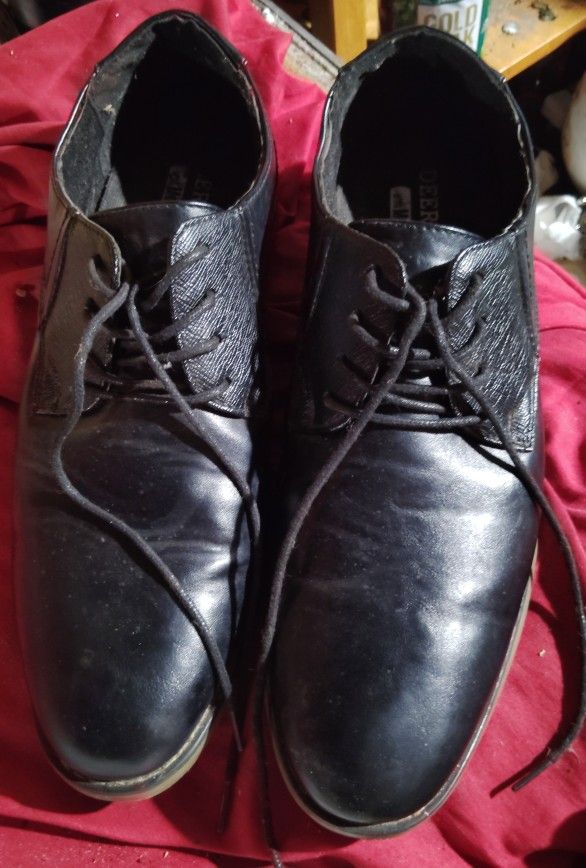 Deer Stag Matthew 12 W