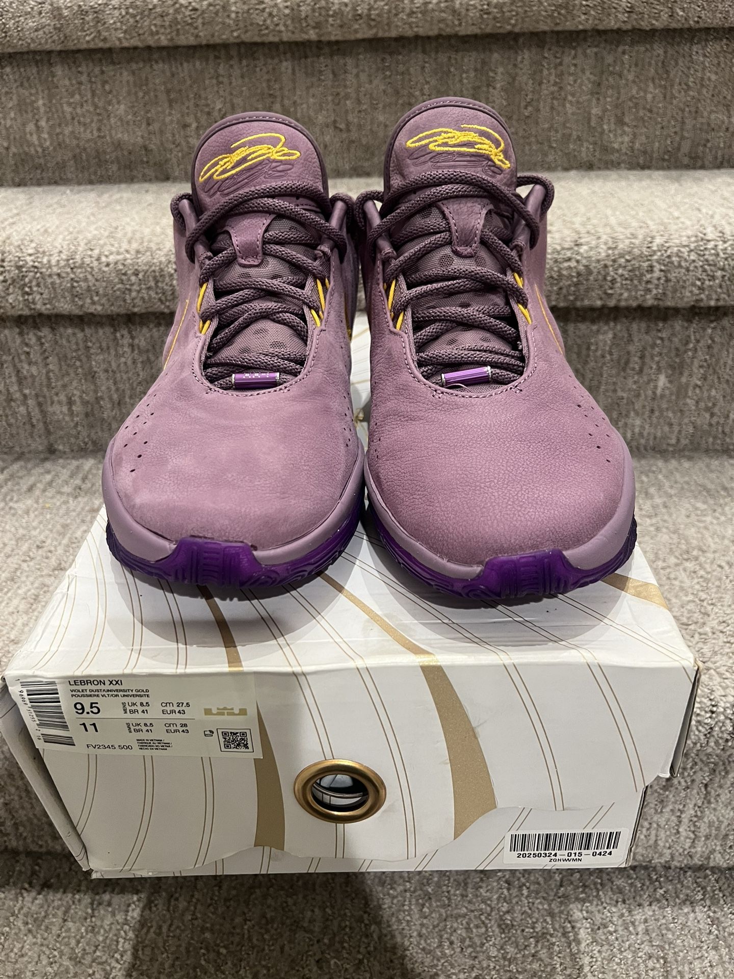Nike Lebron 21 Basketball Shoes Men’s Size 9.5