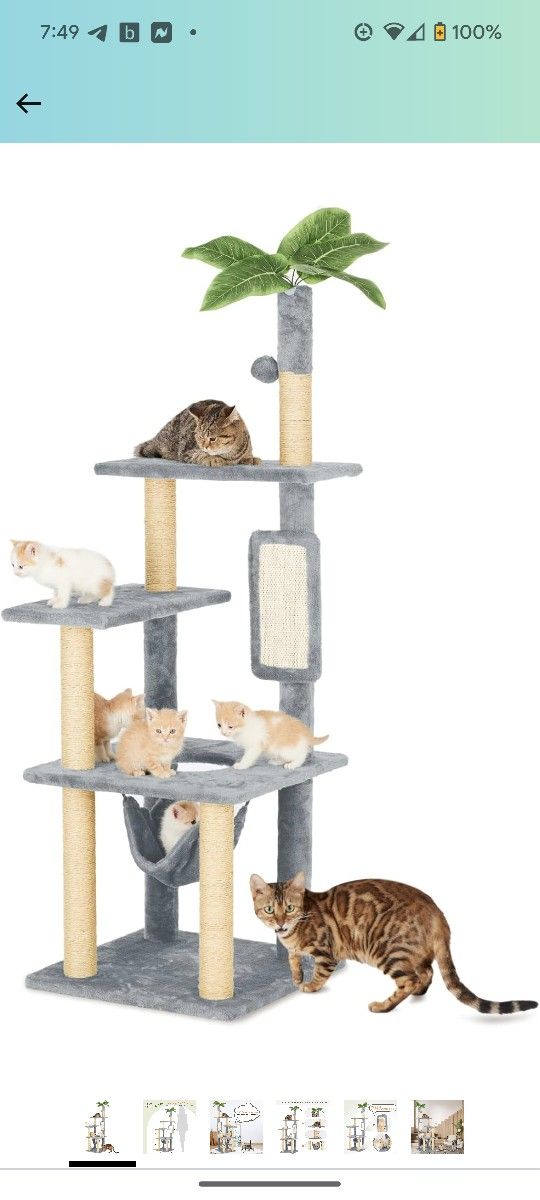 New Cat Tree Still In Box