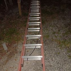 32ft 🪜 Ladder