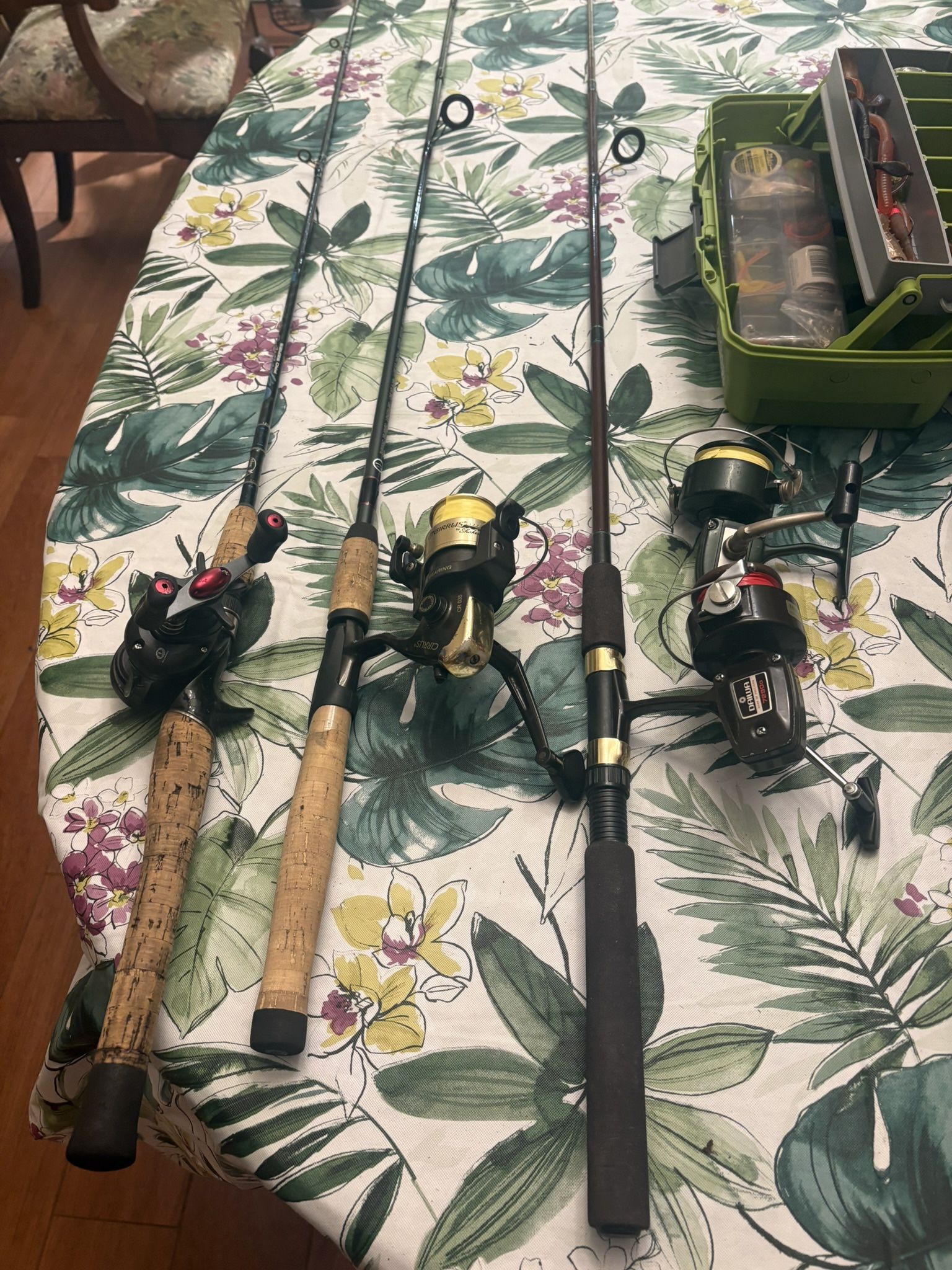 Fishing Freshwater Or Saltwater Three Setups AND BAIT (free Reel)