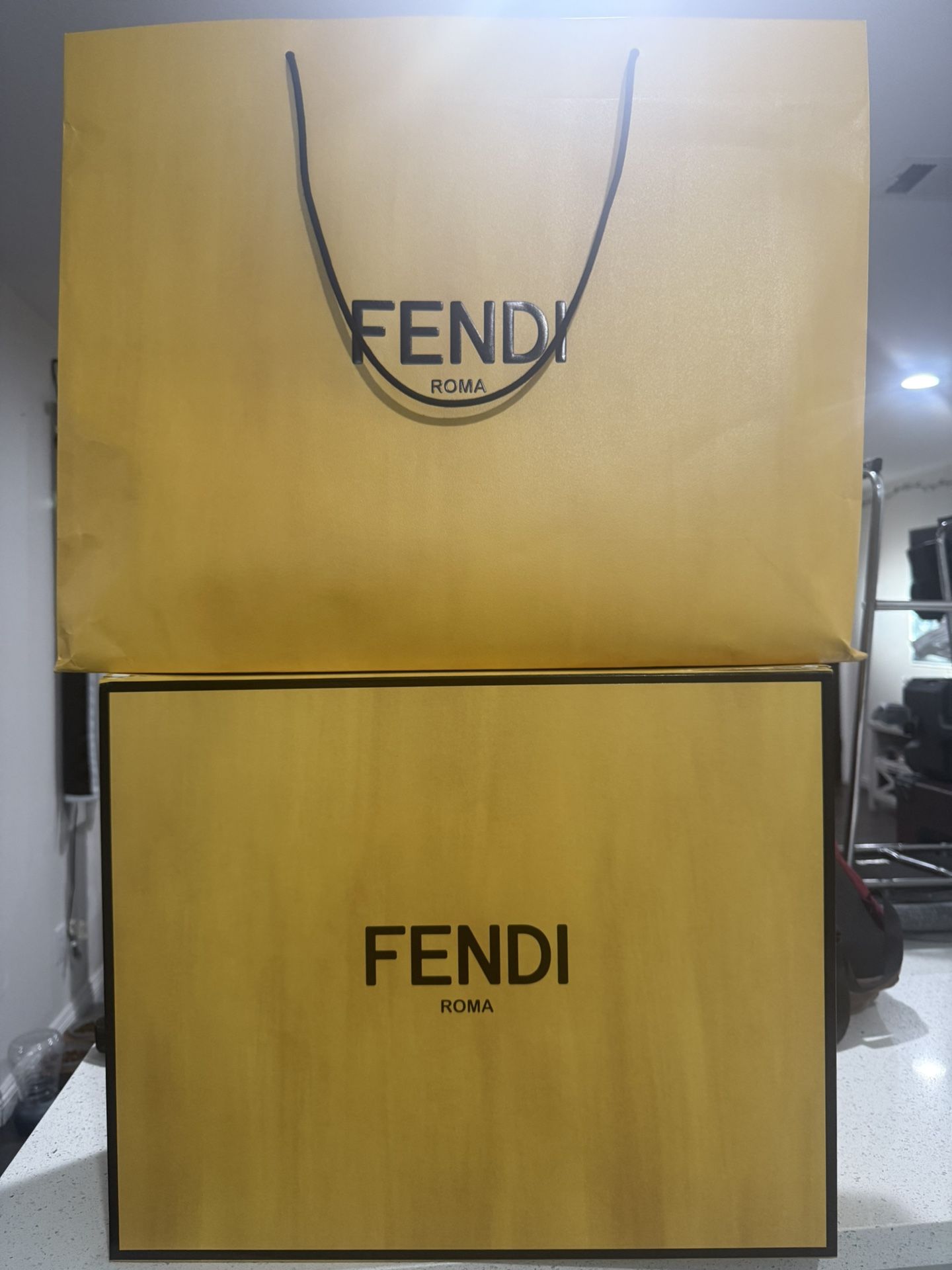 Large Fendi Bag And Box