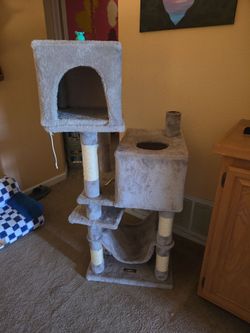 $25 Cat  house/tower