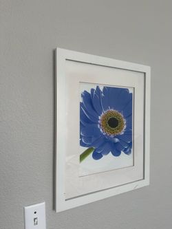 Blue/Yellow Sunflower Wall Art/Frame (22 x 18)