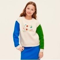 NWT Kate Spade Colorblock Pullover Sweatshirt L