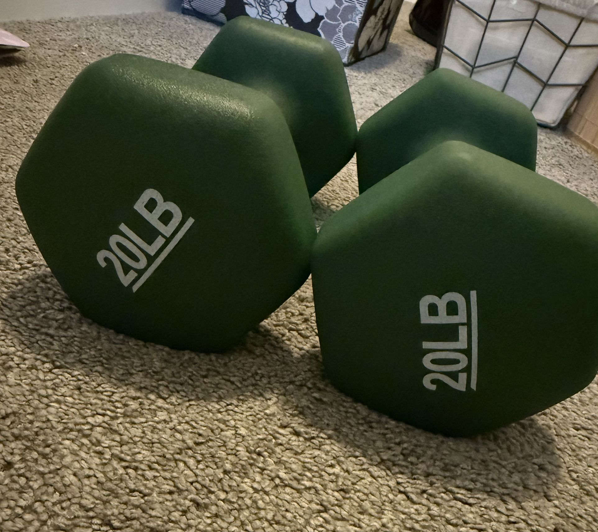 20 lb Dumbbells