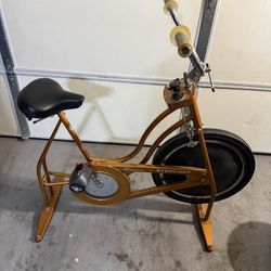 vintage Schwinn 