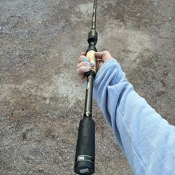 Fishing Rod Abu Garcia Fantasista Premier $ 200