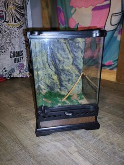 Reptile Terrarium