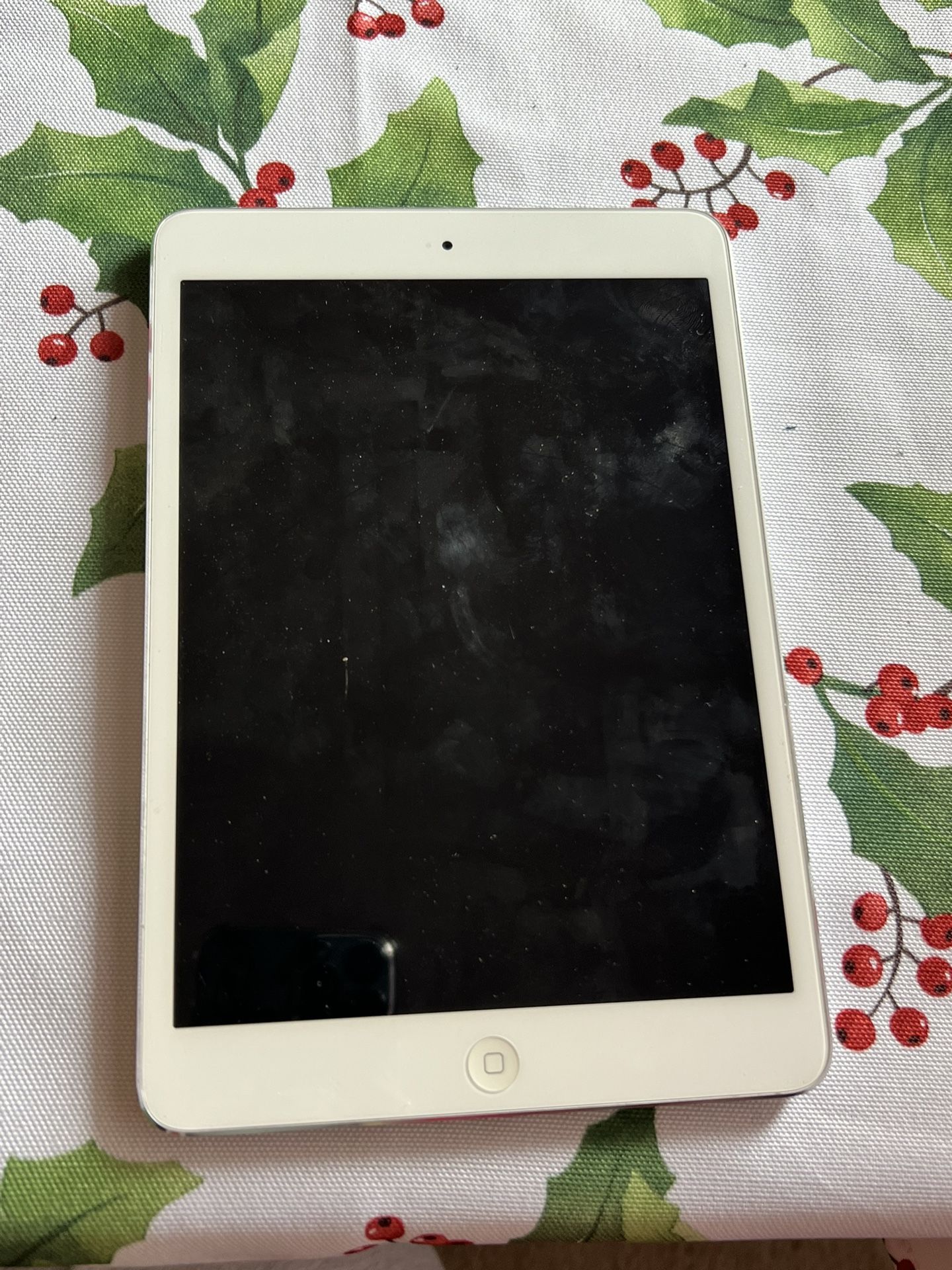 iPad Mini 2