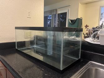 Fish tank