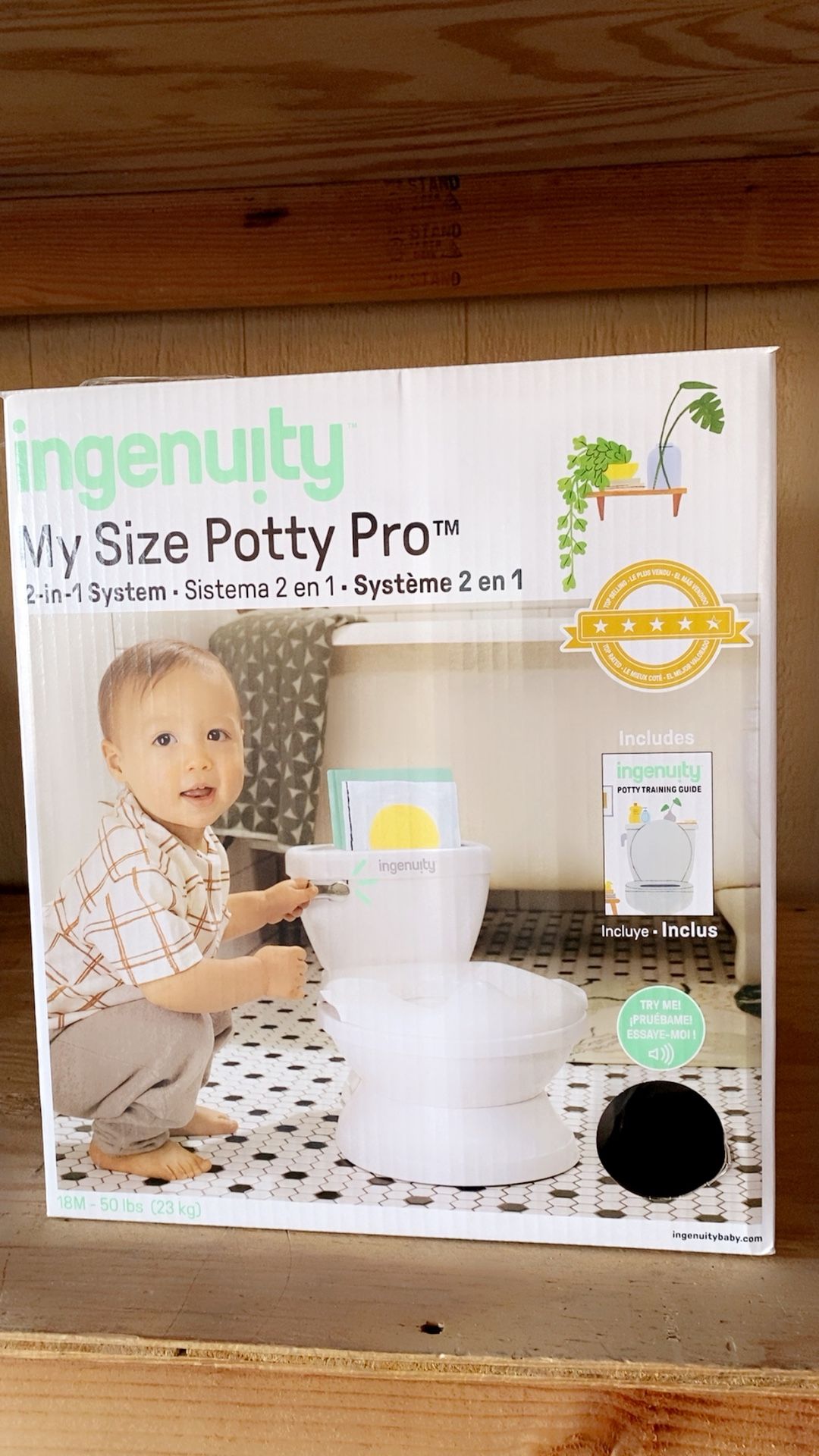 Potty Training 