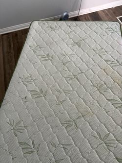 Full Size Mattress NEED GONE