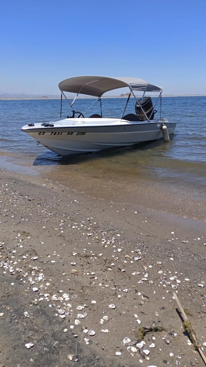 1984 Sunset 17footer