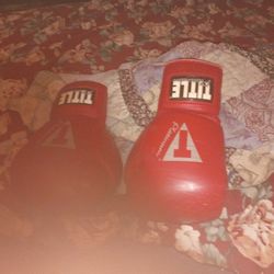 Title Boxing Gloves 