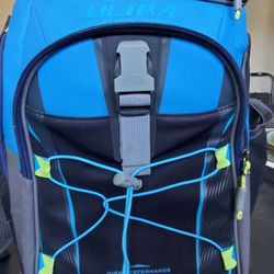 Insulated backpack cooler