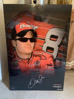 Dale Earnhardt #8 Car Picture 