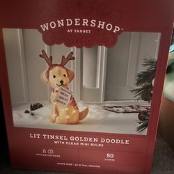 25" Wondershop® Golden Doodle Lit Christmas Yard Decor LED Light Up Golden