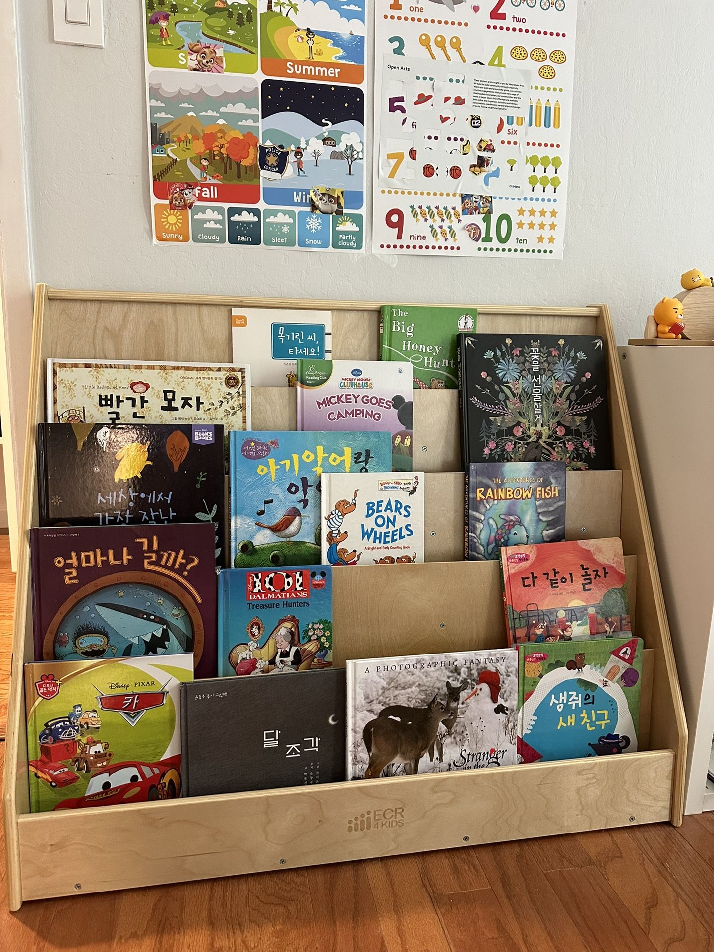 Book Shelf / Book Display