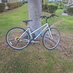 Specialized Cross Roads Bike