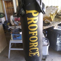 PROFORCE BAG AND GLOVES LIXL