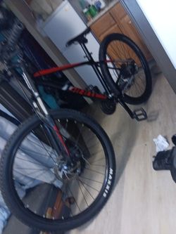 Giant Disc 29" Brakes