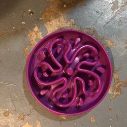 Slow Feeder Dog Bowl 