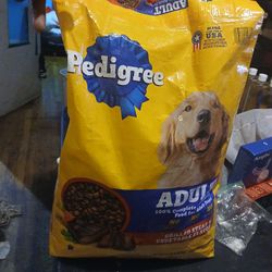Adult Pedigree 