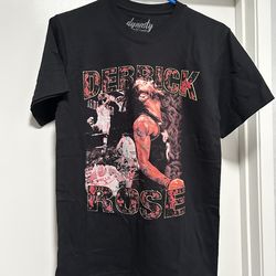 New Dynasty World Wide Derrick Rose Drose Size Small