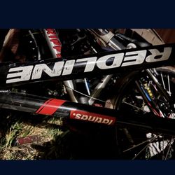 24” Redline BMX Bike Frame Chris king Rear Hub