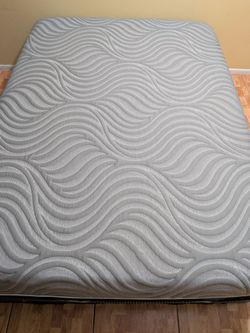 Sealy performance hybrid q,ueen size mat,tress 14 inch. Free same-day Delivery.