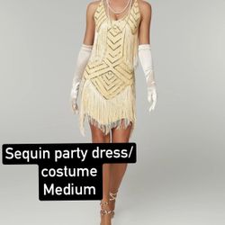 Party/costume Dress