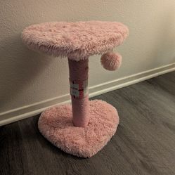 NEW SCRATCHING POST