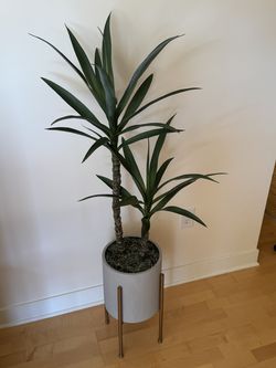 World Market Faux Double Yucca Tree with Planter & Stand