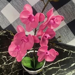 Orquídeas 
