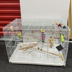 🦜✨ Bird Cages + Toys Included – Ready to Go! ✨🦜