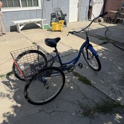 Adult 3-Wheel Cruiser Trike With Basket