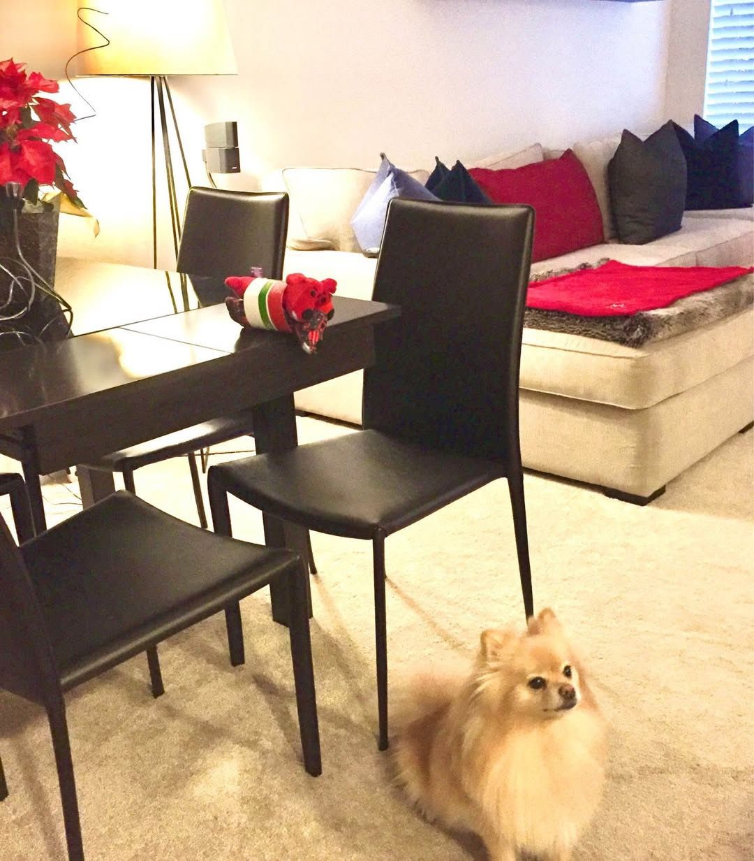 Modern Dining Table w/Extensions