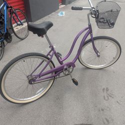 Schwinn Bike Adult