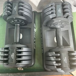 Flybird Adjustable Dumbells 