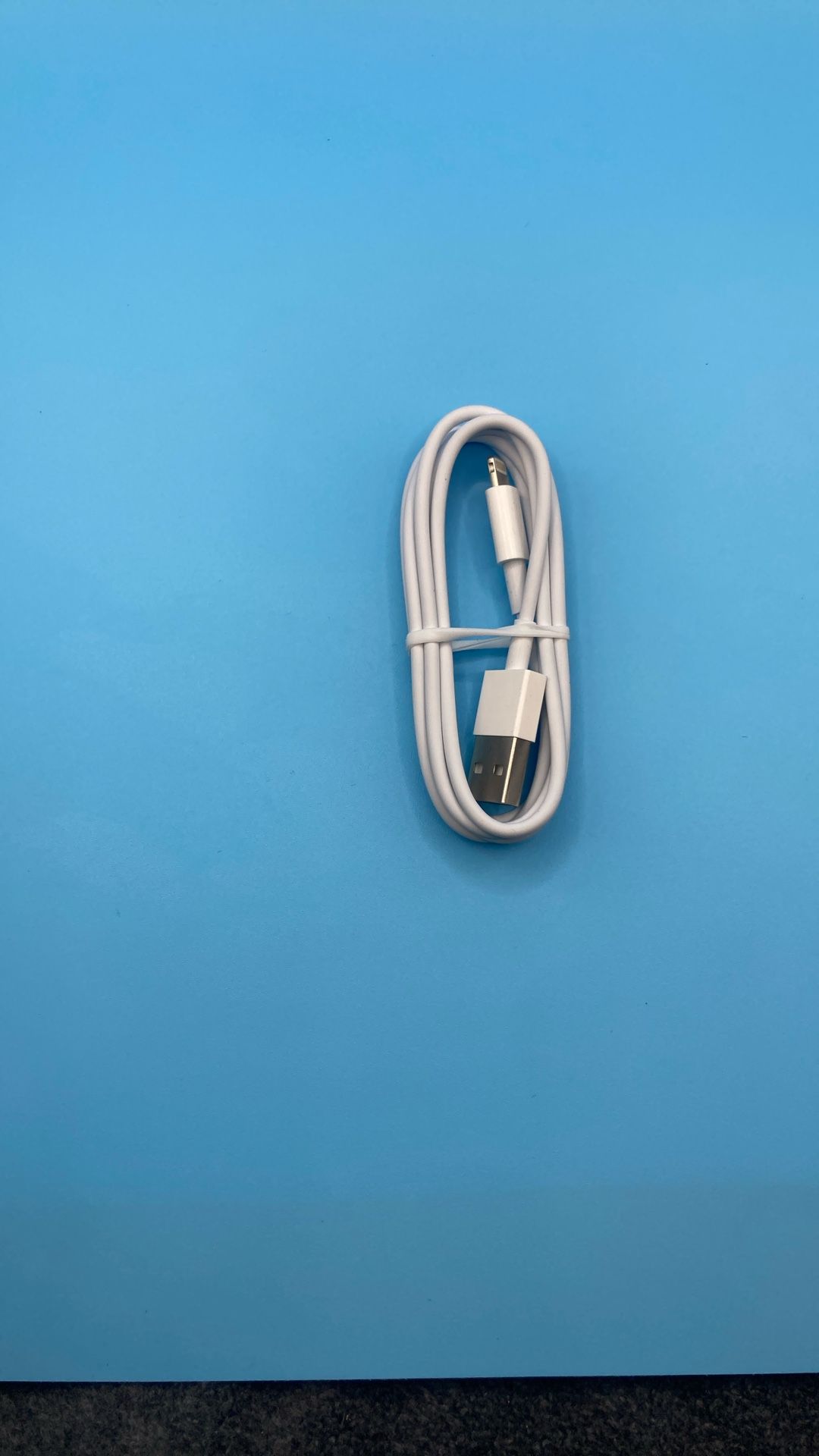 Apple iPhone charger