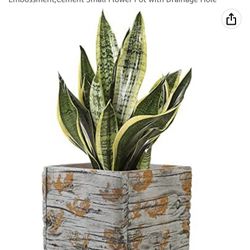 KIOXOHO Indoor Plant pots-6 inch Handmade Square Planter Pot for Indoor Plant,Vintage Wooden Pattern Embossment,Cement Small Flower Pot with Drainage 