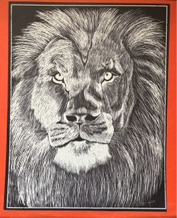 Original Scratchboard Style Animal Art Set Of 7