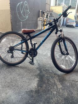 Trek bike (blue and black)