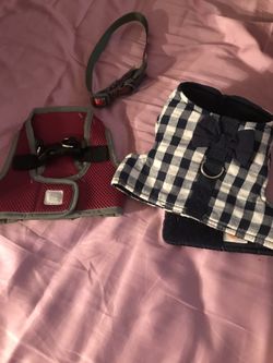 Dogs stuff