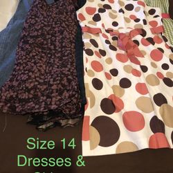 Dresses & Skirts (Size 14)